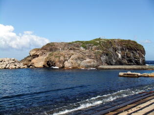 ウミネコの繁殖地経島の写真