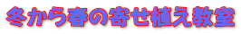 冬から春の寄せ植え教室 