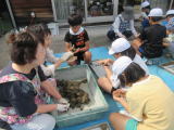 EM泥団子作りの様子