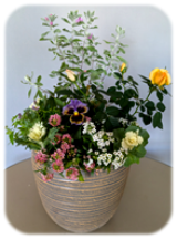 完成した寄せ植え