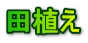 田植え