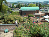 半田山植物園