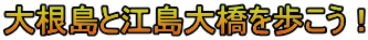 大根島と江島大橋を歩こう！