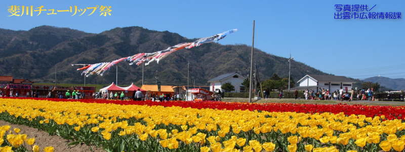 斐川チューリップ祭