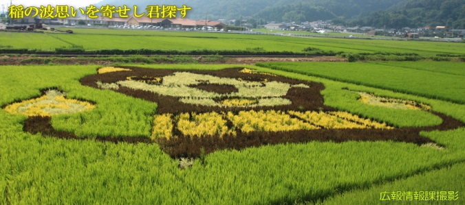 田んぼアート