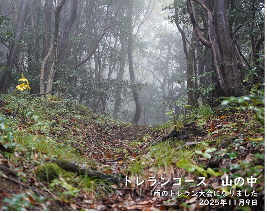 伊野いち集合写真