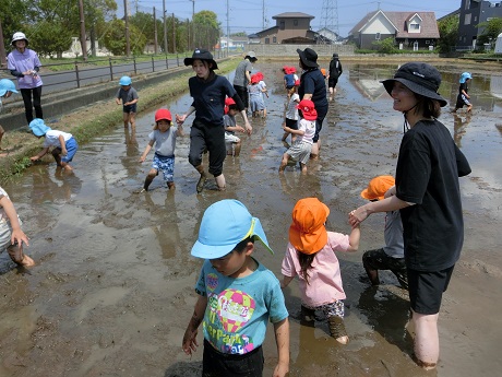 全園児で泥遊び