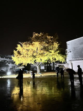 �C�`���E�̃��C�g�A�b�v�̎ʐ^