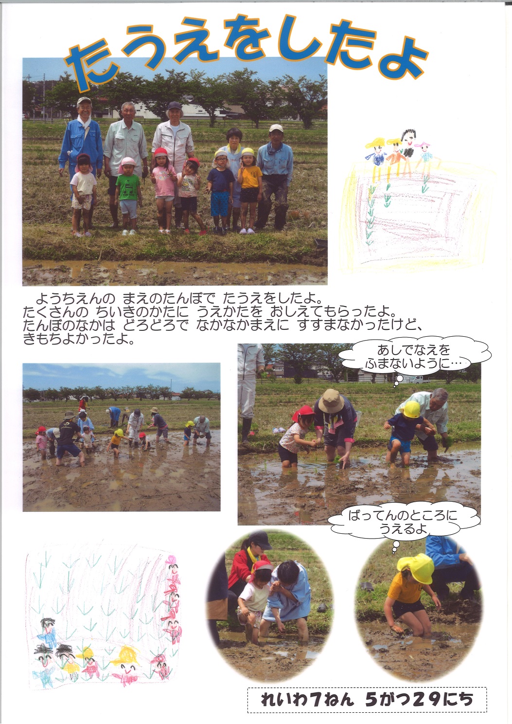 田植えをしたよ