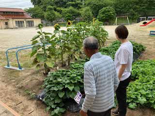 畑の点検の写真２