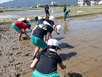 小学生田植え