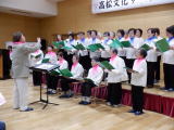 ひまわり