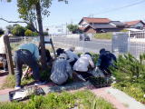 広場の手入れ