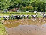 田植え