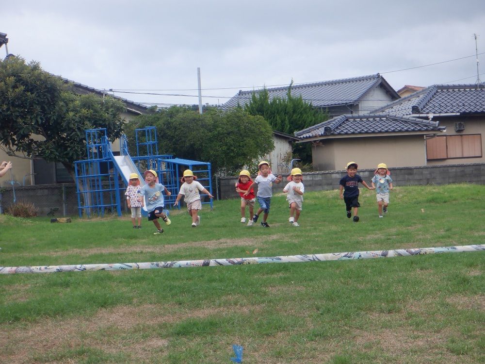 ひよこ2