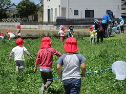 草むらで子供が遊ぶ様子