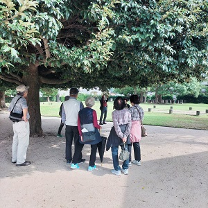 山代郷正倉跡の写真