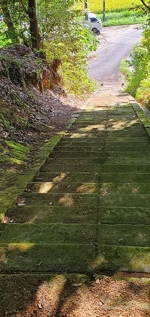 水神社の急な参道の写真