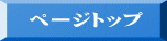 ページトップ 