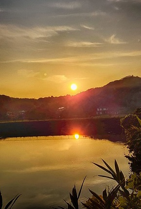 さこた池の夕日の写真