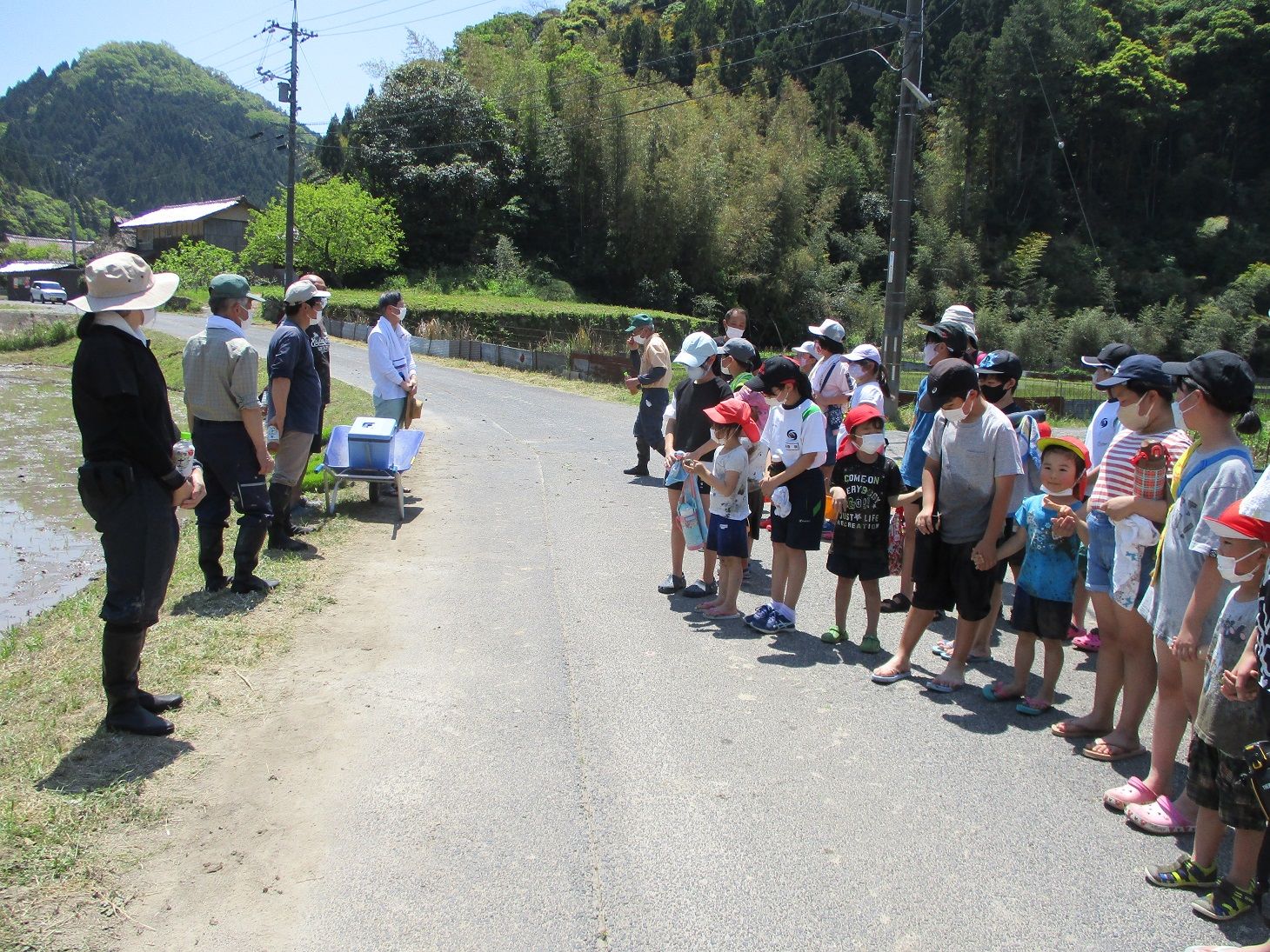 田植え写真