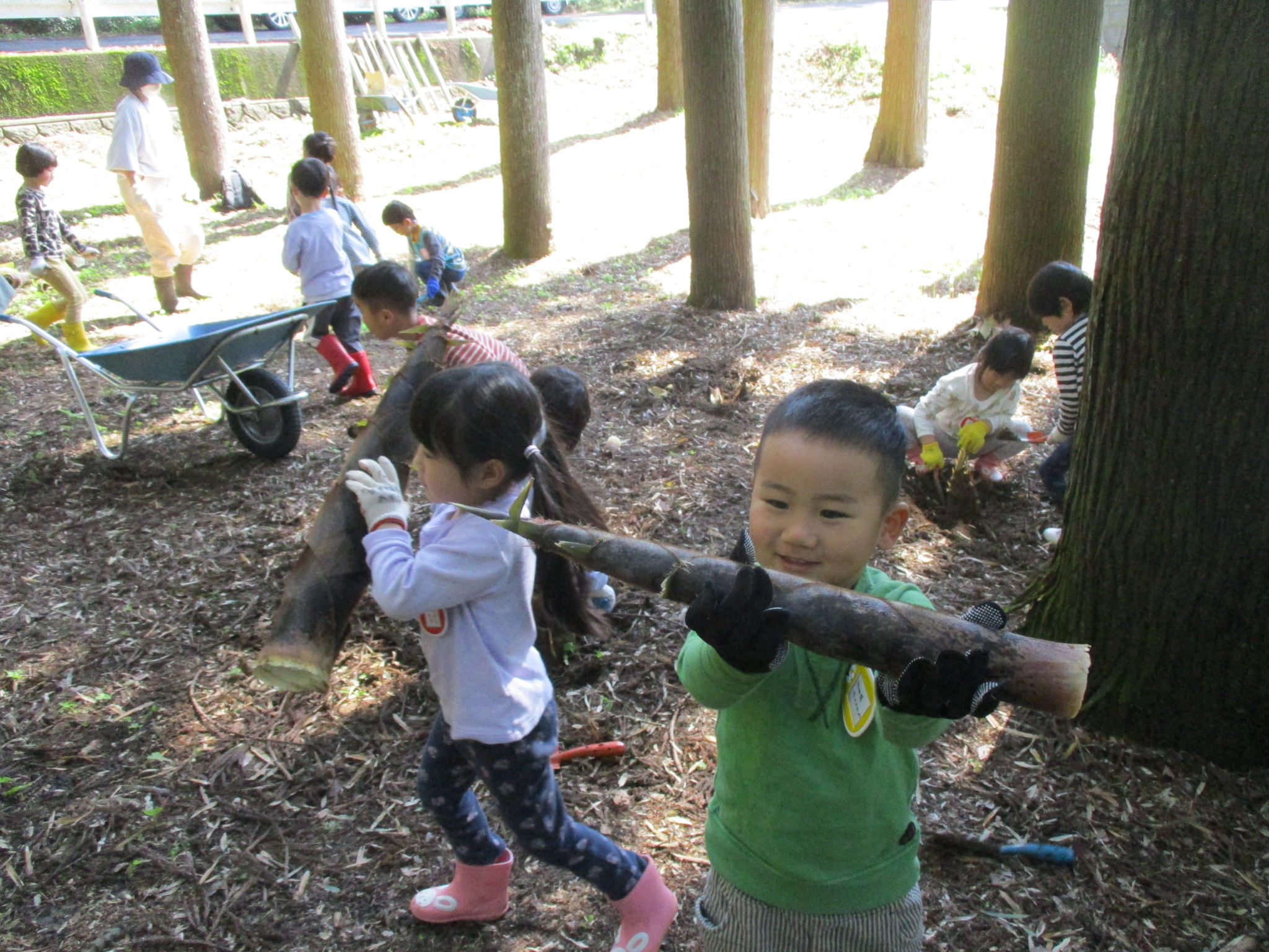 たけのこ掘り写真　重たいな