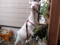 �J������