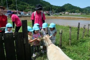 2024年5月ヤギ部