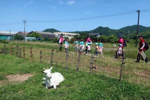 2024年5月ヤギ部