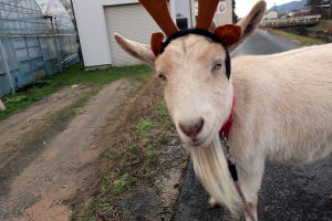 �Q�O�Q�Q�N�P�Q���€��