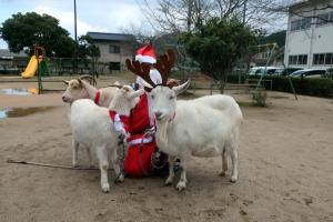 2022年12月やぎ部