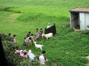 2022年8月やぎ部