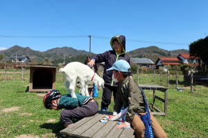 �Q�O�Q�Q�N�S���€��