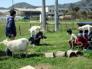 �Q�O�Q�Q�N�S���€��