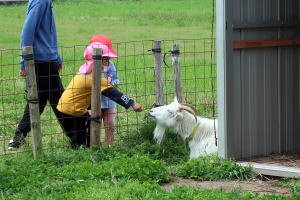 �Q�O�Q�Q�N�S���€��