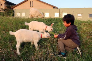 �Q�O�Q�Q�N�S���€��