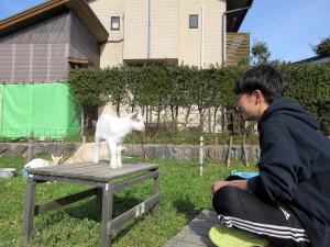 やぎ部2021年4月