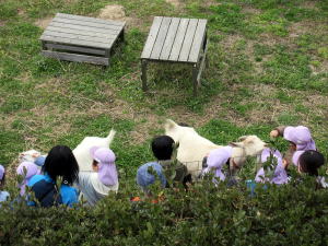 やぎ部2021年3月