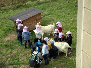 やぎ部2021年3月