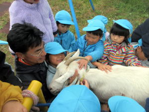 やぎ部2019年11月