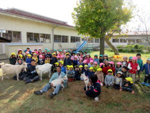 やぎ部2019年11月