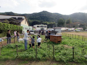 やぎ部2019年10月