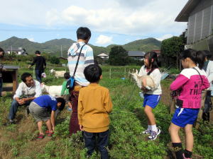 やぎ部2019年10月