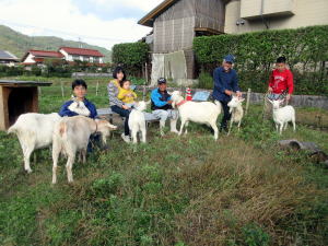 やぎ部2019年10月