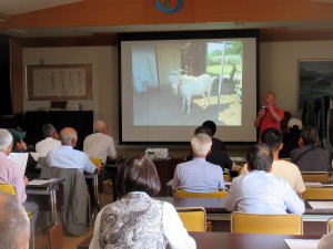 やぎ部2019年6月