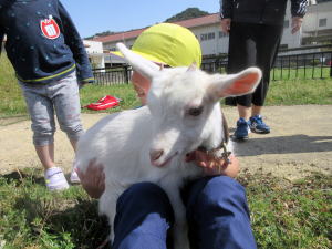 やぎ部2019年4月