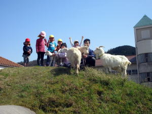 やぎ部2019年4月