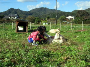 やぎ部2018年10月