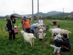 やぎ部2018年6月