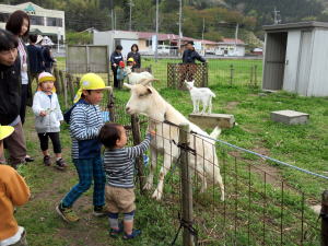 やぎ部2018年4月